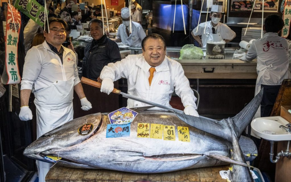 Large fish fetches record $3.2m at Tokyo auction – NewsclickNG