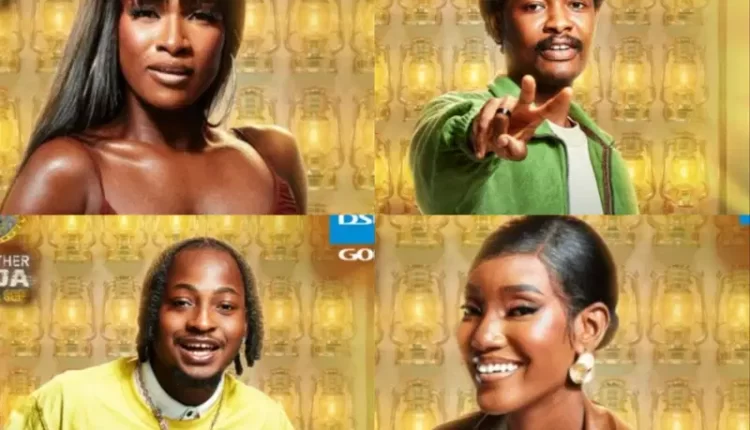 bbnaija housemates
